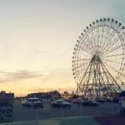 にゃほの画像