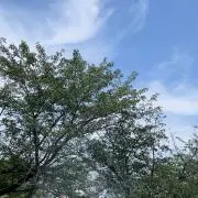 ほっこり