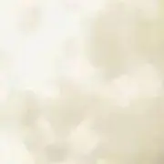 いむやんの画像