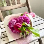 ノンノの画像