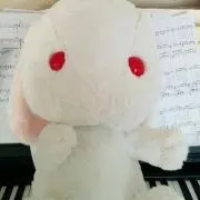 ねこの画像