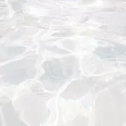 ふゆの画像