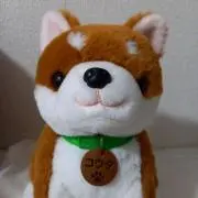 nobo　プロフ見てね！の画像