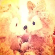 Ñちゃんず✩