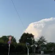 サダハル