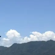 ryiの画像