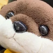 anaの画像