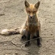 ガク（禁煙）の画像