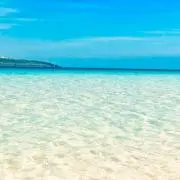 sanshinsoulの画像
