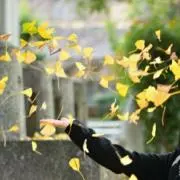 easyの画像