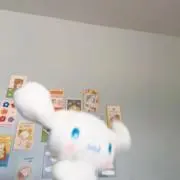 きちの画像