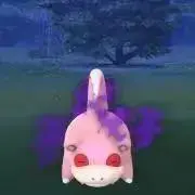 ちむの画像