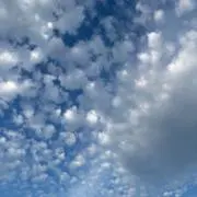 こーーの画像