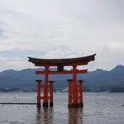 yの画像