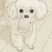 E*の画像