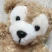 achanの画像