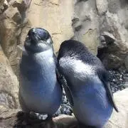 こっふぇ