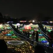 はるさんの画像