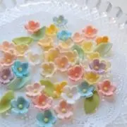 Runaの画像
