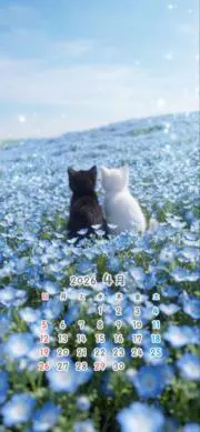 Mの画像