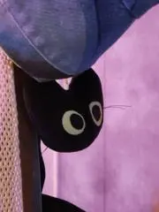 maiの画像