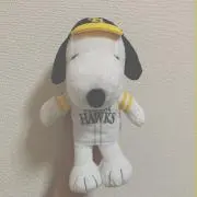 koooooの画像