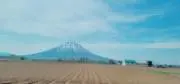 はまなすふぁーむ