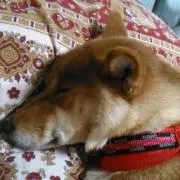 かん