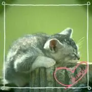 ルイ