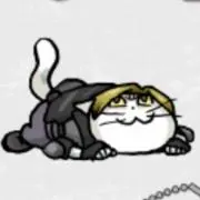 BIO CAT 96【お値下げ歓迎です】の画像