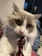 kiki5/5の画像