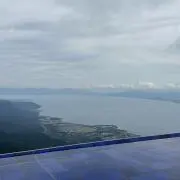 くまのがっこうの画像