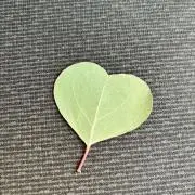 lalaの画像