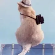 あまちゃんの画像