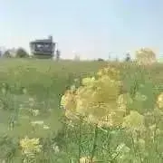 てっこつ【プロフ必読】の画像