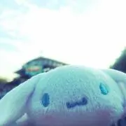 春雨サラダの画像
