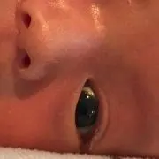 トーチュケ☆の画像