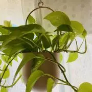 断捨離、時々ハンドメイド♪の画像