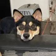 みるさの画像