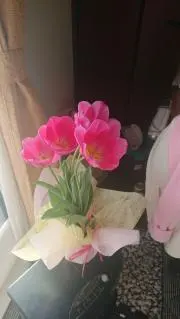 Srin