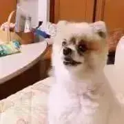 FUKU☆