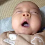 やぎちゃん値下げ交渉どうぞ！の画像