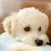 ミルの画像
