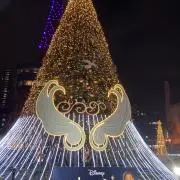 ベルの画像