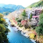 flysboatの画像