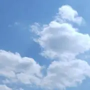 ひなたのぶるーの画像