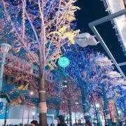 Nの画像