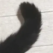 ひらの画像