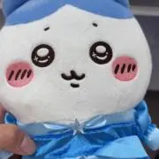 はちわれの画像