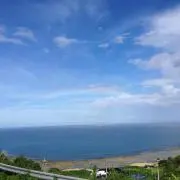 らん丸の画像